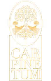 Carpinetum Logo